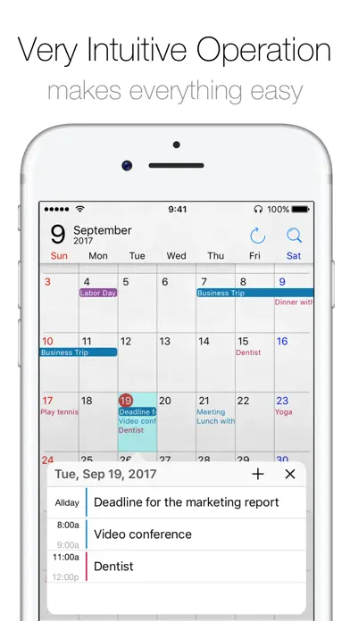 Simple Calendar Pro app screenshot 3
