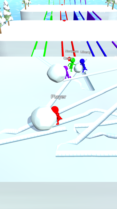 Snow Race!! app screenshot 1