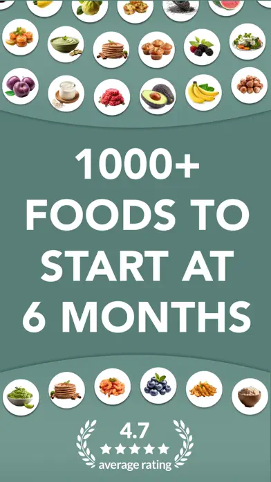 Solid Starts app screenshot 1