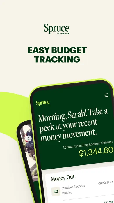 Spruce – Mobile banking app screenshot 1