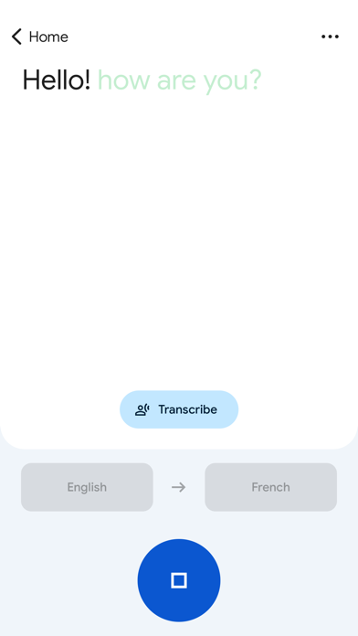 Translate app screenshot 2