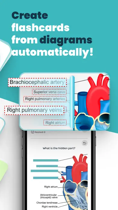 AI Study Flashcards: Voovo app screenshot 3