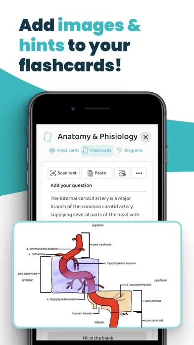 AI Study Flashcards: Voovo app screenshot 6