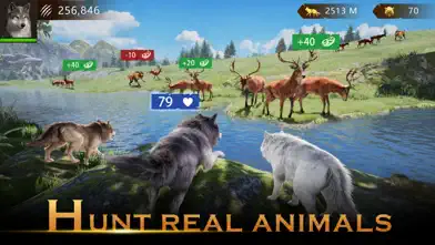 Wolf Game: The Wild Kingdom app screenshot 1